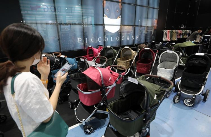 Hàn Quốc: Lần đầu tiên trong lịch sử xe đẩy thú cưng bán chạy hơn xe đẩy em bé, một loạt dấu hiệu đáng báo động đã được thấy rõ - Ảnh 1.