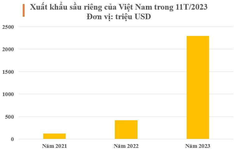Nhờ 1 lợi thế 'ăn đứt' Thái Lan, sầu riêng Việt Nam được nhiều nước tăng thu mua - xuất khẩu vượt 2 tỷ USD - Ảnh 2.