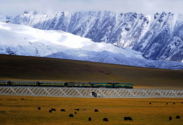 Xây xong đường sắt cao nhất thế giới, Trung Quốc chôn 15.000 cây sắt 2 bên, ở trong chứa thứ cực độc đáo - Ảnh 4.
