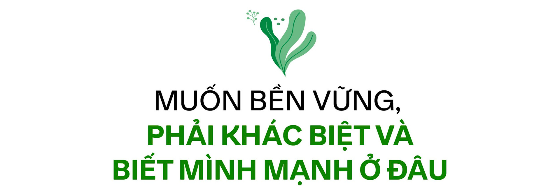 Từ kho nhỏ bán cây đến thương hiệu cà phê xanh có tiếng tại Hà Nội, CEO 8x kể chuyện chinh phục phân khúc cao cấp ở “ngách” mới, “tiền không phải vấn đề” với khách hàng - Ảnh 14.