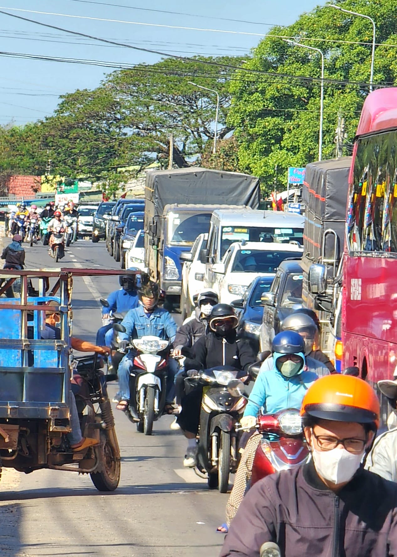 Địa điểm hot nhất lúc này: Đường lên Đà Lạt đông nghịt đúng thời điểm hoa mai anh đào nở rực rỡ- Ảnh 4.