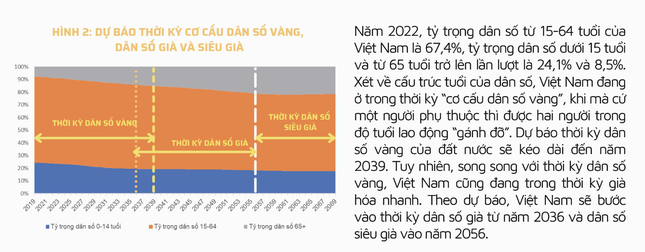 Năm 2036, Việt Nam bước vào thời kỳ dân số già? - Ảnh 2.