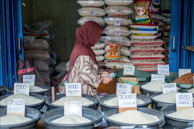 Giá gạo tăng cao tiếp tục gây sức ép lạm phát ở châu Á - Ảnh 1.