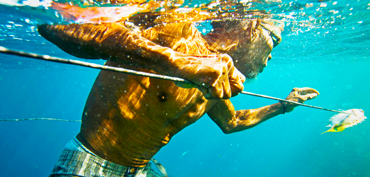 Bộ tộc dành khoảng 60% thời gian dưới nước mỗi ngày nhờ 'gen du mục biển' - Ảnh 1.