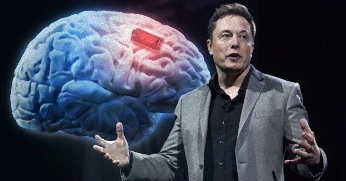  Elon Musk tuyên bố sẽ tự cấy chip não vào cơ thể mình - Ảnh 2.
