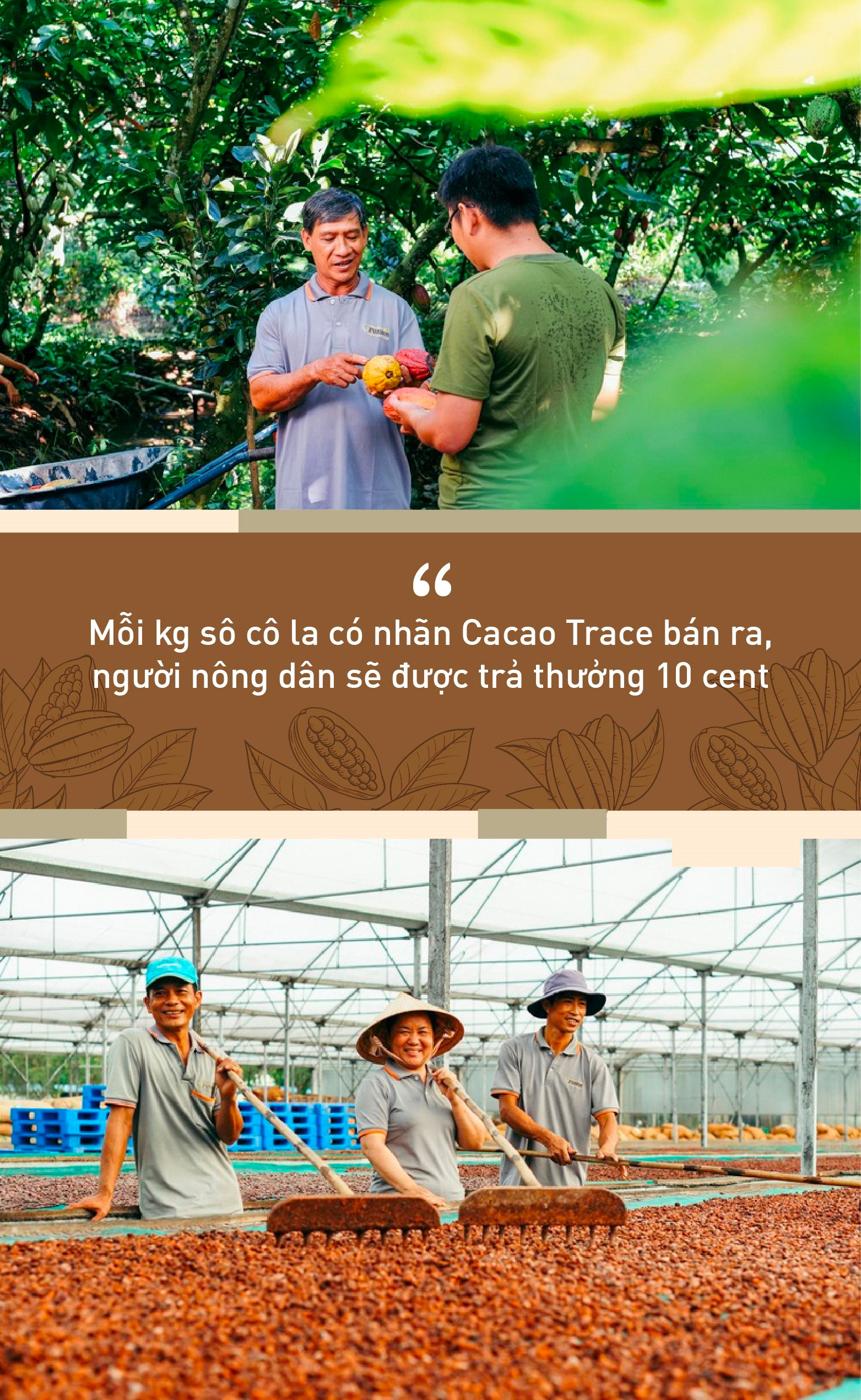 Puratos và hành trình Cacao Trace: “Một thanh sô cô la sẽ kém hấp dẫn nếu người dùng biết được đằng sau đó là giọt nước mắt của người nông dân” - Ảnh 3.