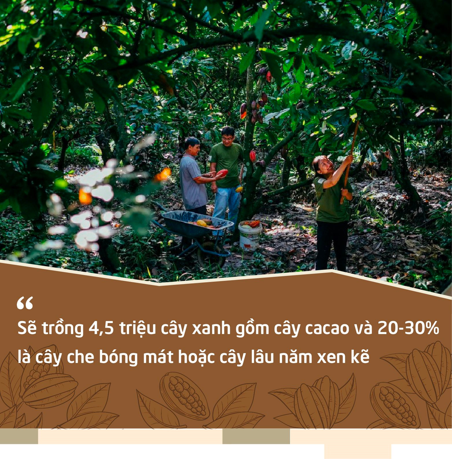 Puratos và hành trình Cacao Trace: “Một thanh sô cô la sẽ kém hấp dẫn nếu người dùng biết được đằng sau đó là giọt nước mắt của người nông dân” - Ảnh 5.