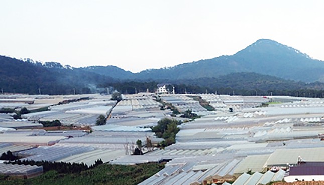 Ngưng thu hồi 410 thửa đất liên quan dự án dân cư lớn nhất Đà Lạt - Ảnh 1.