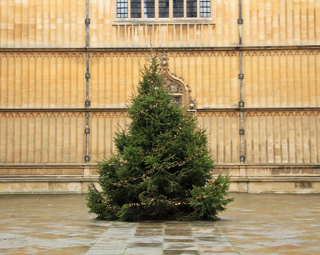 ĐH Oxford "chơi lớn" dựng cây thông Noel ngoài trời cho sinh viên "sống ảo", tiệc Giáng sinh sang chảnh cũng rất là mê- Ảnh 9.