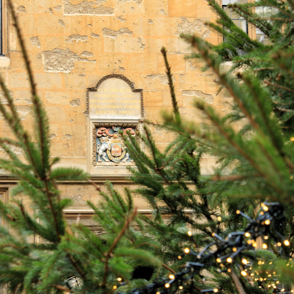 ĐH Oxford "chơi lớn" dựng cây thông Noel ngoài trời cho sinh viên "sống ảo", tiệc Giáng sinh sang chảnh cũng rất là mê- Ảnh 8.