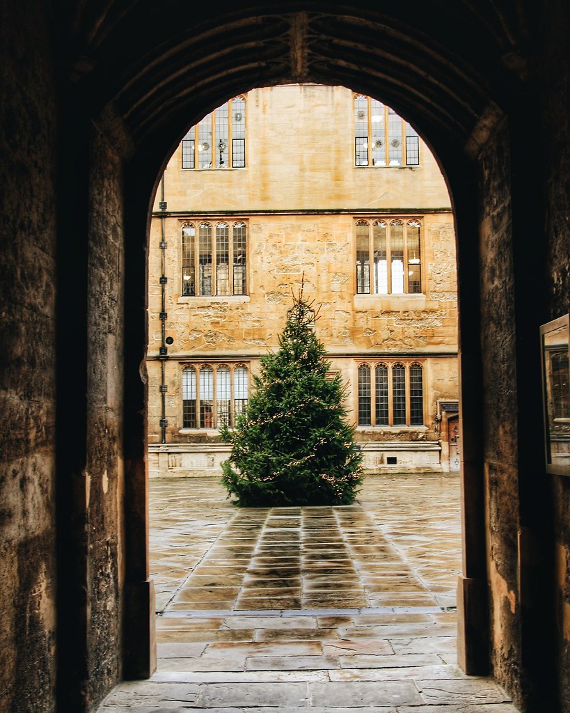 ĐH Oxford &quot;chơi lớn&quot; dựng cây thông Noel ngoài trời cho sinh viên &quot;sống ảo&quot;, tiệc Giáng sinh sang chảnh cũng rất là mê- Ảnh 10.