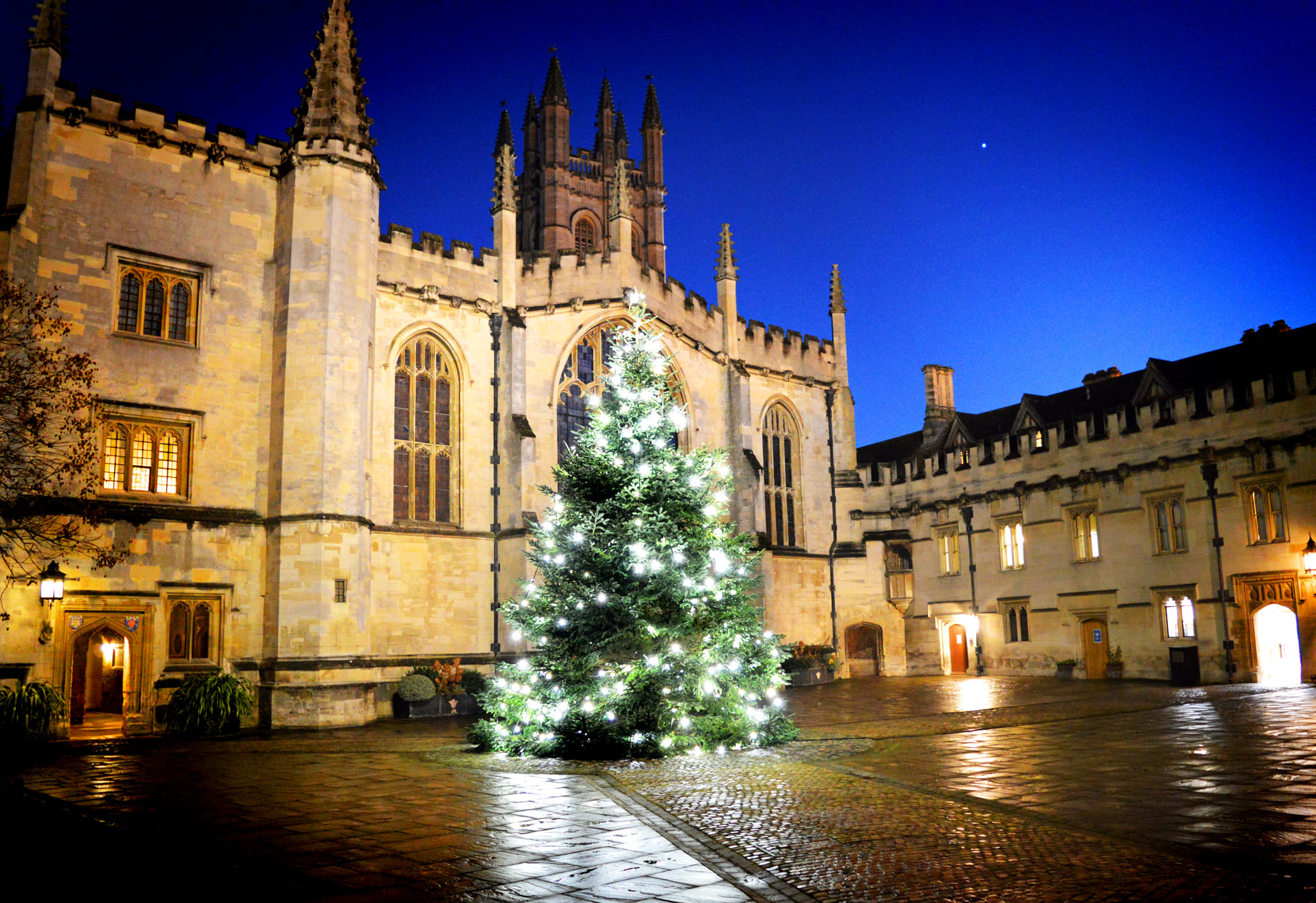 ĐH Oxford &quot;chơi lớn&quot; dựng cây thông Noel ngoài trời cho sinh viên &quot;sống ảo&quot;, tiệc Giáng sinh sang chảnh cũng rất là mê- Ảnh 5.