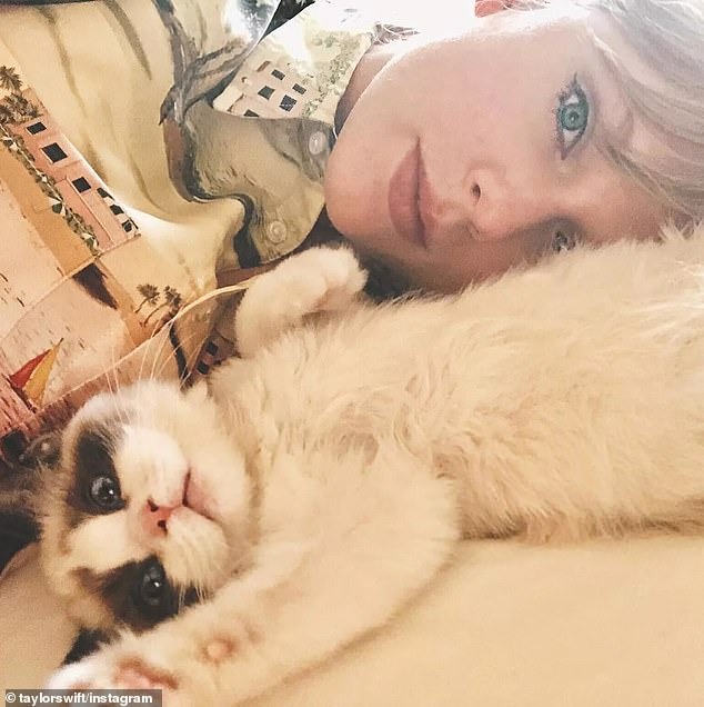 Mèo cưng mắt xanh &quot;quý hơn vàng&quot; của Taylor Swift mới xuất hiện sang trọng trên bìa tạp chí cùng chủ nhân, có giá trị ước tính 2.400 tỷ VNĐ - Ảnh 4.