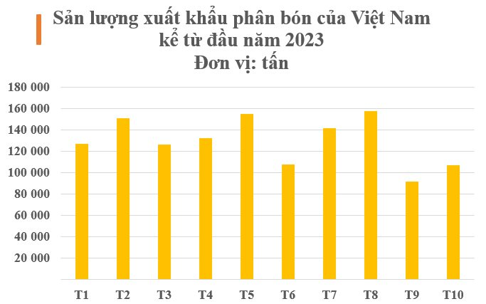 Kho báu mới nổi của Việt Nam được Campuchia mạnh tay săn lùng: Giá rẻ kỷ lục, thu về nửa tỷ USD kể từ đầu năm - Ảnh 2.