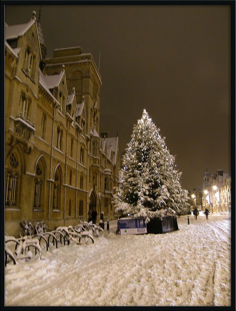 ĐH Oxford "chơi lớn" dựng cây thông Noel ngoài trời cho sinh viên "sống ảo", tiệc Giáng sinh sang chảnh cũng rất là mê- Ảnh 6.
