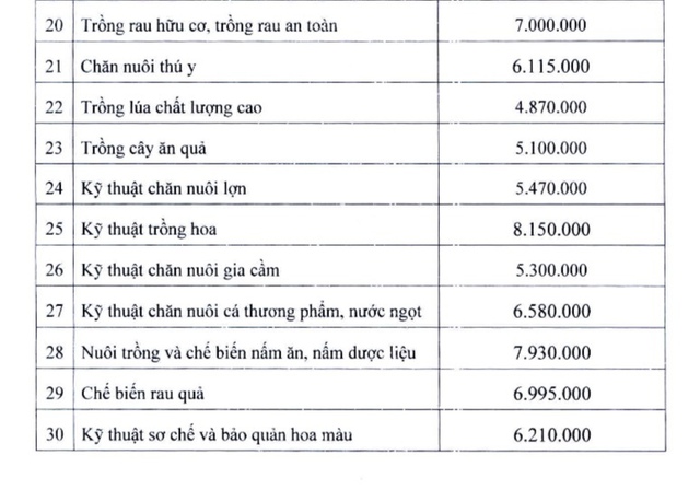 Hà Nội: Giá dịch vụ đào tạo lái xe ô tô B2 là hơn 15 triệu đồng - Ảnh 2.