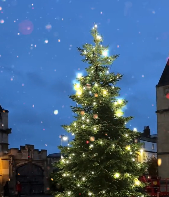 ĐH Oxford "chơi lớn" dựng cây thông Noel ngoài trời cho sinh viên "sống ảo", tiệc Giáng sinh sang chảnh cũng rất là mê- Ảnh 1.
