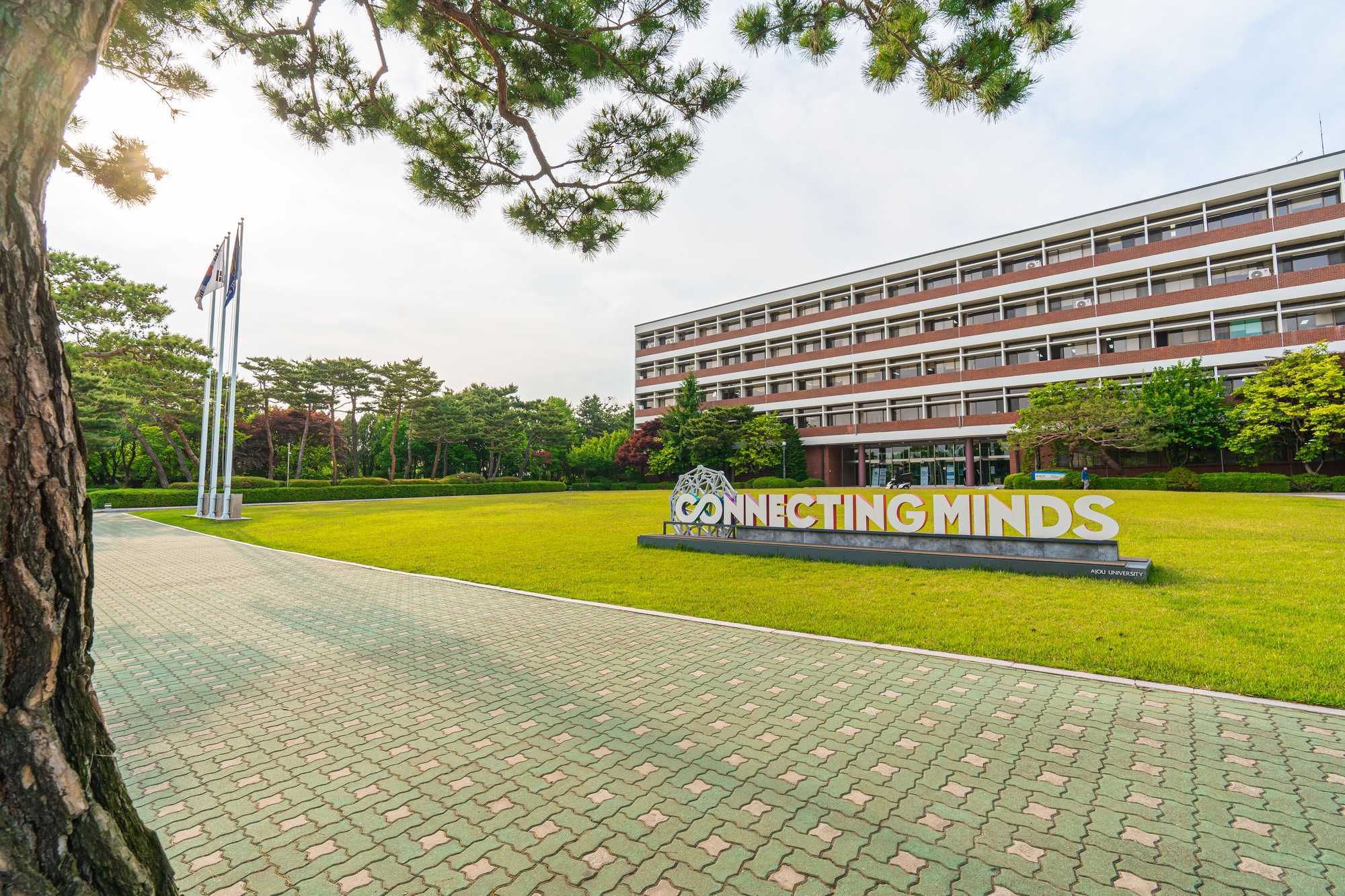 Ngôi trường "thần tiên" thuộc top 15 Hàn Quốc: Khuôn viên xinh như vườn thượng uyển, quá nhiều thứ để mê!- Ảnh 4.