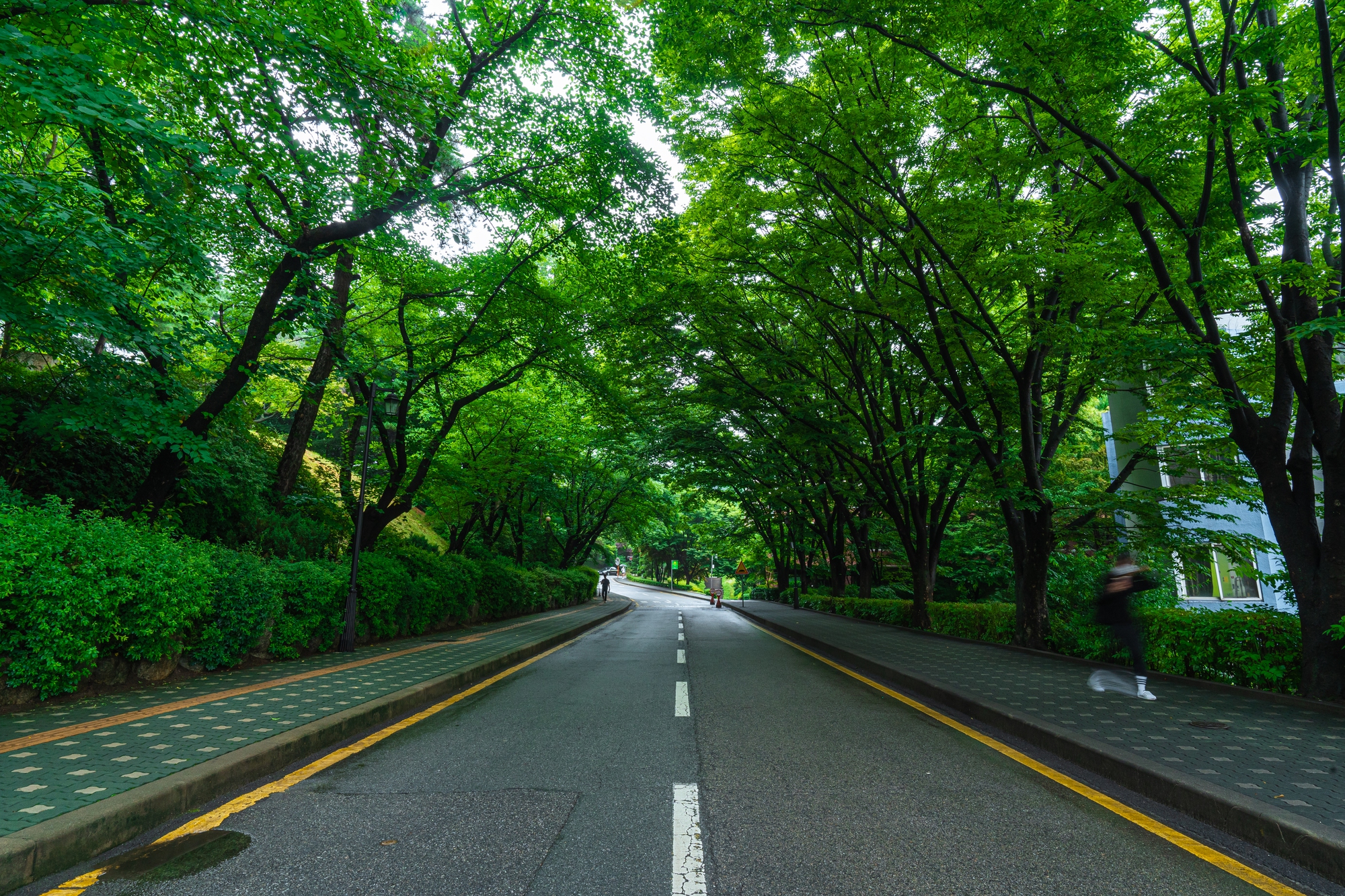 Ngôi trường "thần tiên" thuộc top 15 Hàn Quốc: Khuôn viên xinh như vườn thượng uyển, quá nhiều thứ để mê!- Ảnh 8.