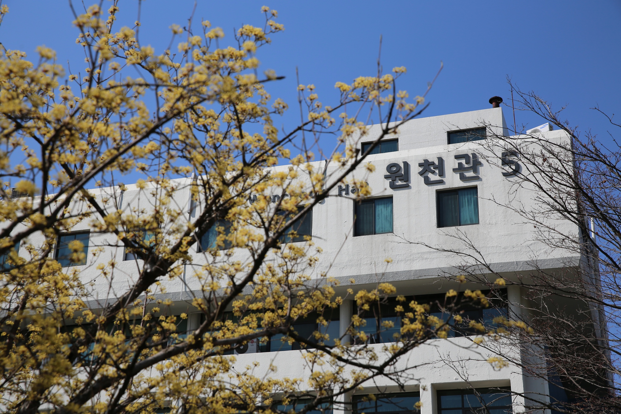 Ngôi trường &quot;thần tiên&quot; thuộc top 15 Hàn Quốc: Khuôn viên xinh như vườn thượng uyển, quá nhiều thứ để mê!- Ảnh 15.