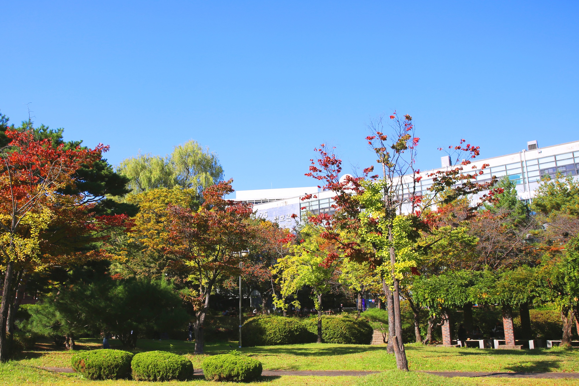 Ngôi trường "thần tiên" thuộc top 15 Hàn Quốc: Khuôn viên xinh như vườn thượng uyển, quá nhiều thứ để mê!- Ảnh 9.