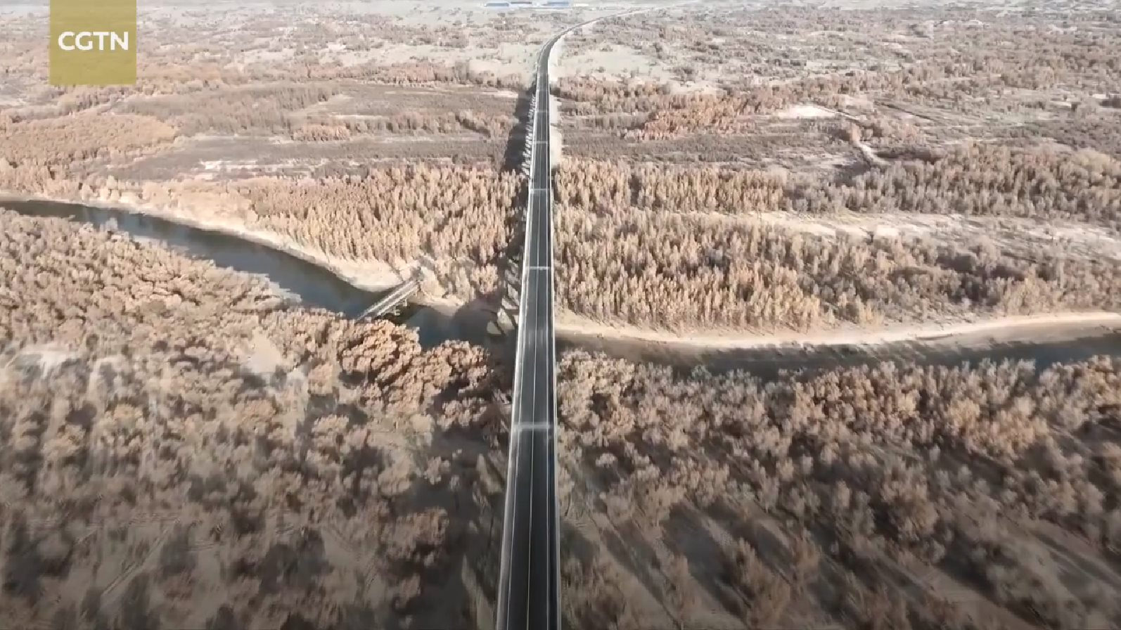 Trung Quốc xây &quot;kỳ quan&quot; đường cao tốc xuyên sa mạc lớn thứ hai thế giới theo cách thực sự đáng gờm: Làm cầu cạn để hạn chế phá những cây xanh hiếm hoi - Ảnh 5.