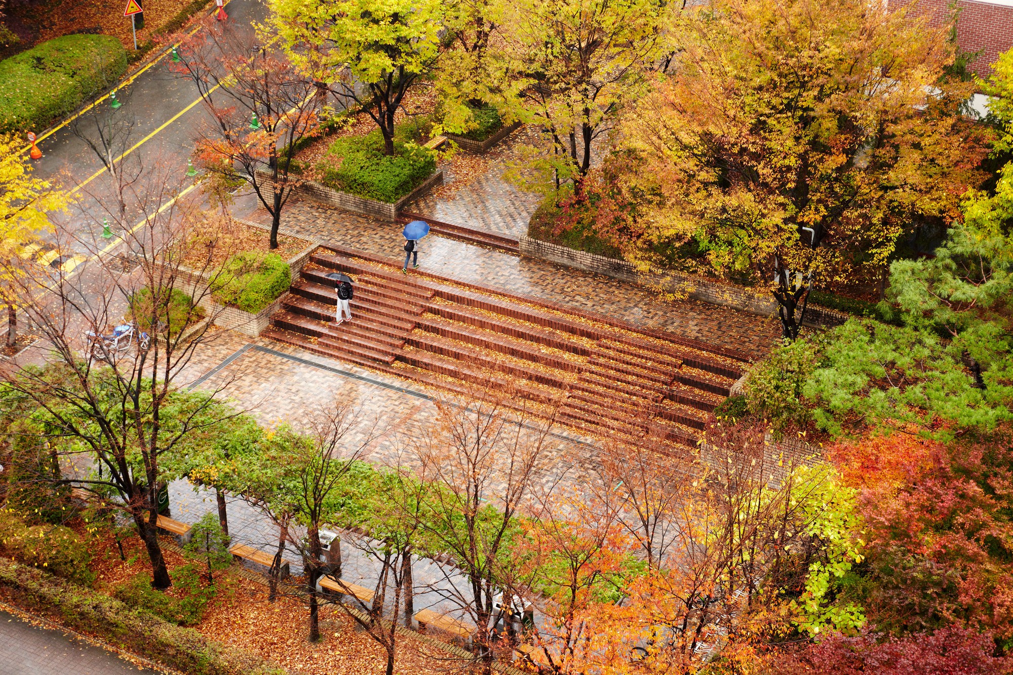 Ngôi trường "thần tiên" thuộc top 15 Hàn Quốc: Khuôn viên xinh như vườn thượng uyển, quá nhiều thứ để mê!- Ảnh 5.