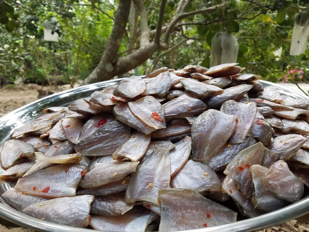 U Minh fish sauce hot pot: Rich in identity but rustic soul like the people of Mui Ca Mau land - Photo 6.