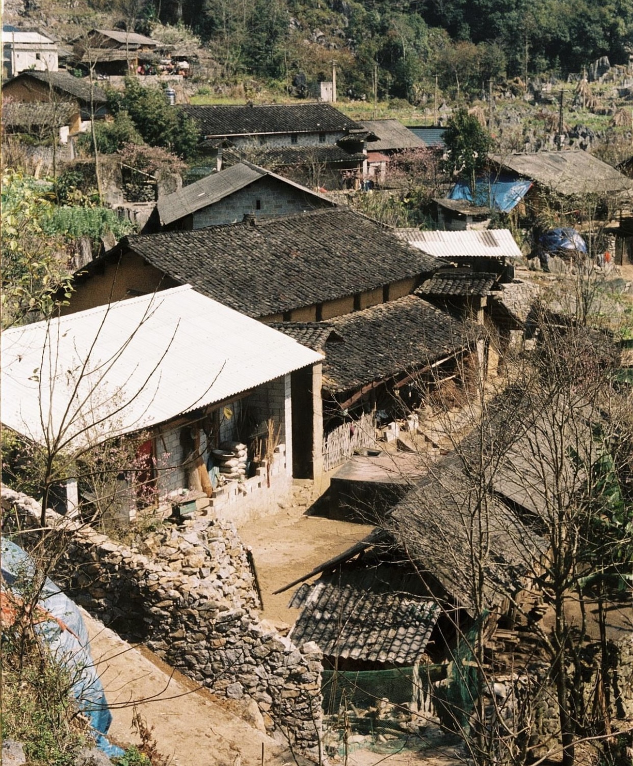 Hà Giang có muôn vàn tọa độ săn các loại hoa đào, toàn những địa điểm độc đáo khiến ai cũng muốn đến một lần - Ảnh 11.