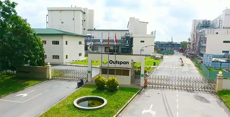 Dấu ấn 71 tỷ USD của các sư tử Singapore tại Việt Nam: Đầu tư siêu dự án trải dài nam bắc, xây nền móng thị trường Dầu ăn, làm bùng nổ ngành công nghệ - Ảnh 6. Dấu ấn 71 tỷ USD của các sư tử Singapore tại Việt Nam: Đầu tư siêu dự án trải dài nam bắc, xây nền móng thị trường Dầu ăn, làm bùng nổ ngành công nghệ - Ảnh 6.