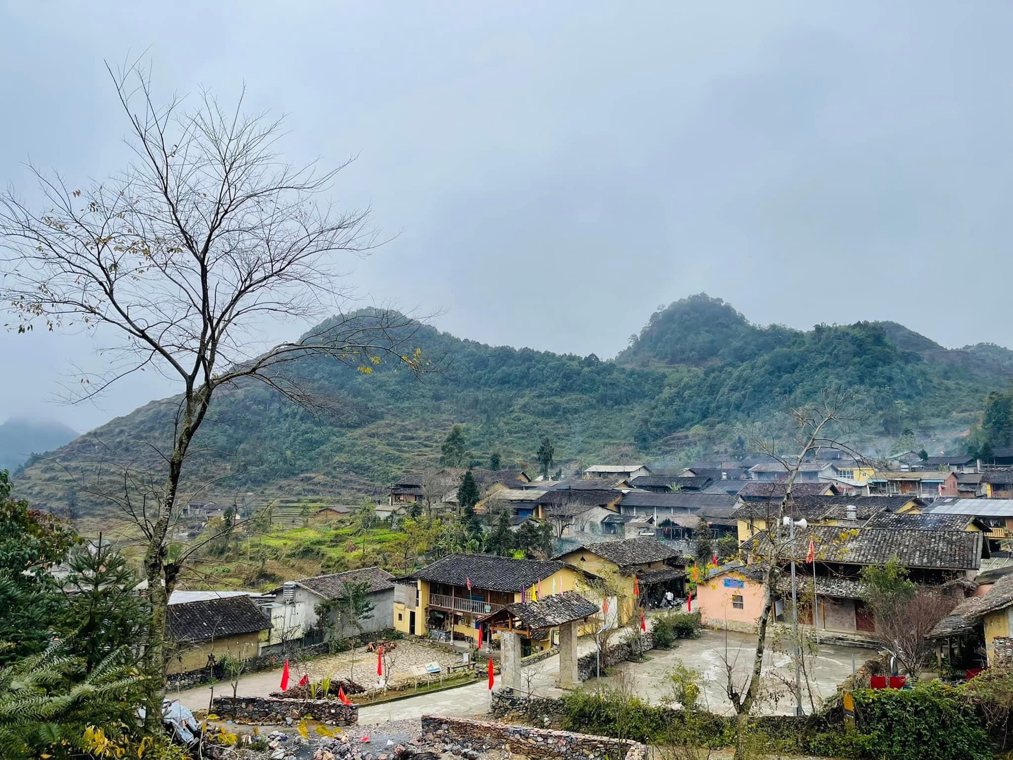 Hà Giang có muôn vàn tọa độ săn các loại hoa đào, toàn những địa điểm độc đáo khiến ai cũng muốn đến một lần - Ảnh 8.