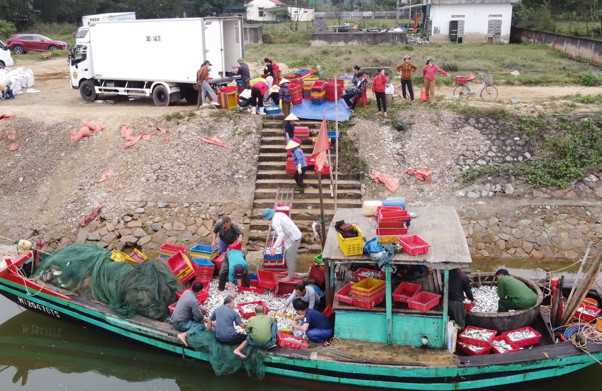 Ngư dân trúng đậm hơn 10 tấn cá đù, thu về hàng trăm triệu đồng - Ảnh 6.