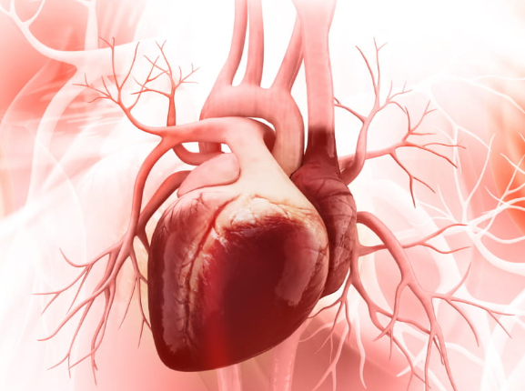 Người thuộc nhóm máu này ít khả năng bị bệnh tim nhất nhưng dễ mắc một tình trạng nguy hiểm - Ảnh 3.