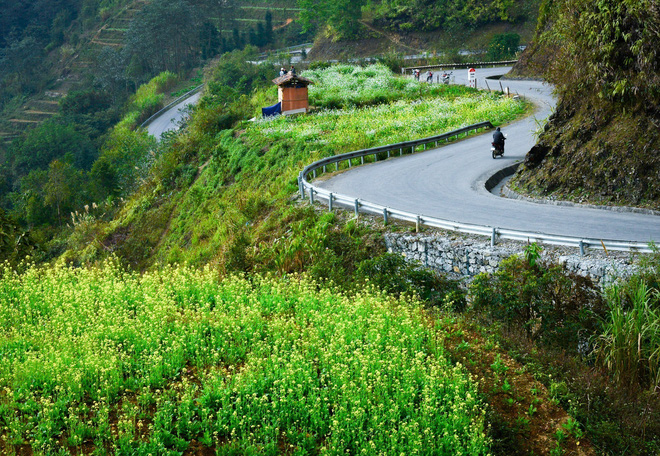 Du lịch Việt Nam đối mặt với xu hướng thắt chặt chi tiêu - Ảnh 5. Du lịch Việt Nam đối mặt với xu hướng thắt chặt chi tiêu - Ảnh 5.