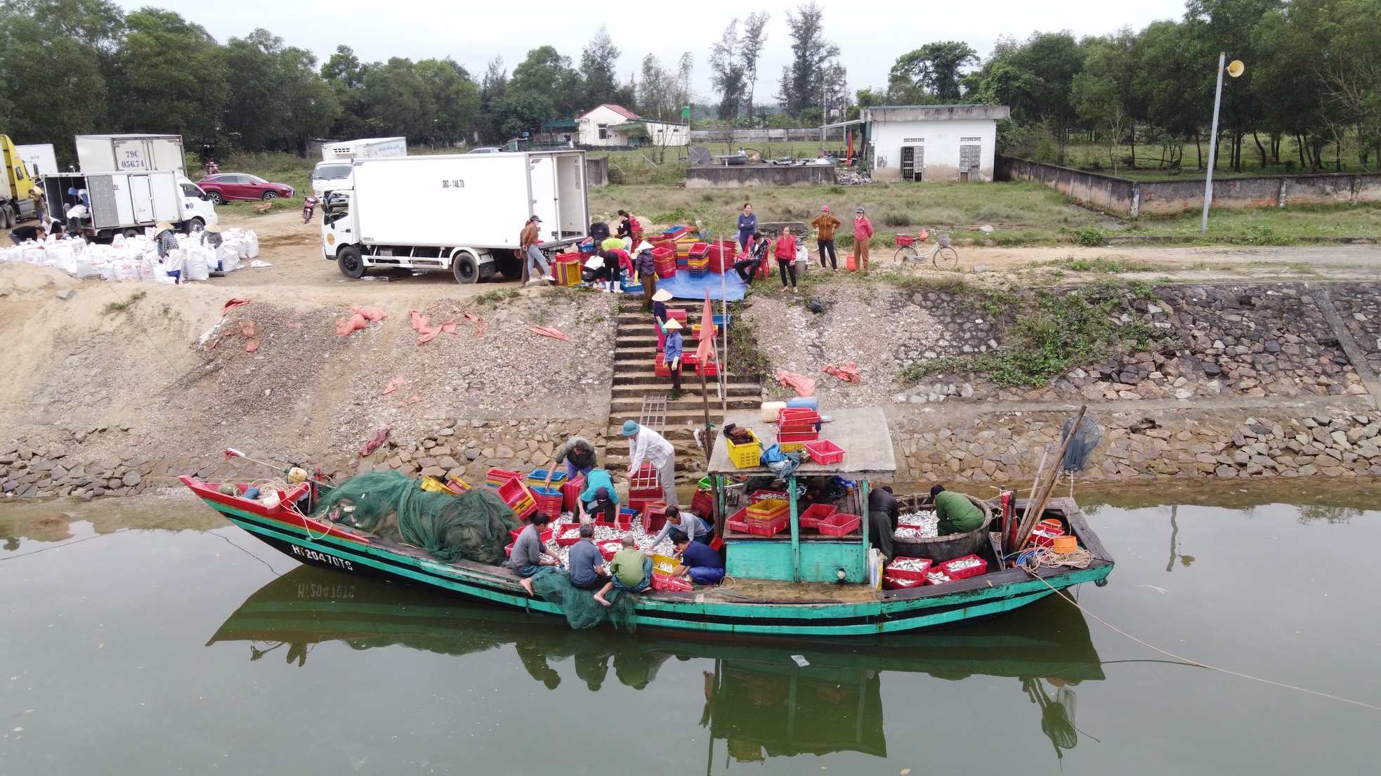 Ngư dân trúng đậm hơn 10 tấn cá đù, thu về hàng trăm triệu đồng - Ảnh 2.
