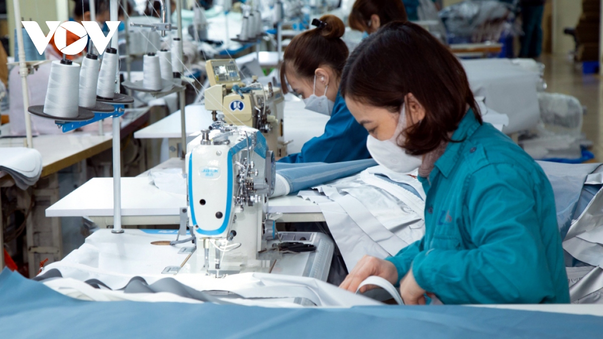 DN dệt may chủ động tìm, giữ nguồn lao động cho phát triển - Ảnh 3.