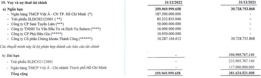 Một doanh nghiệp bất động sản đầu tư chứng khoán lỗ nặng với cổ phiếu HPG, SJS, tiền mặt chỉ còn vỏn vẹn 1 tỷ đồng - Ảnh 2. Một doanh nghiệp bất động sản đầu tư chứng khoán lỗ nặng với cổ phiếu HPG, SJS, tiền mặt chỉ còn vỏn vẹn 1 tỷ đồng - Ảnh 2.