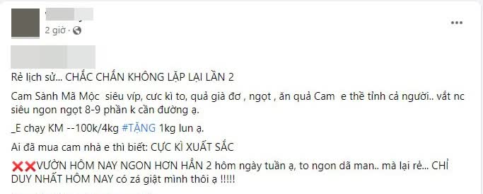 Vào chính vụ cam sành bán chạy vì giá rẻ - Ảnh 6.