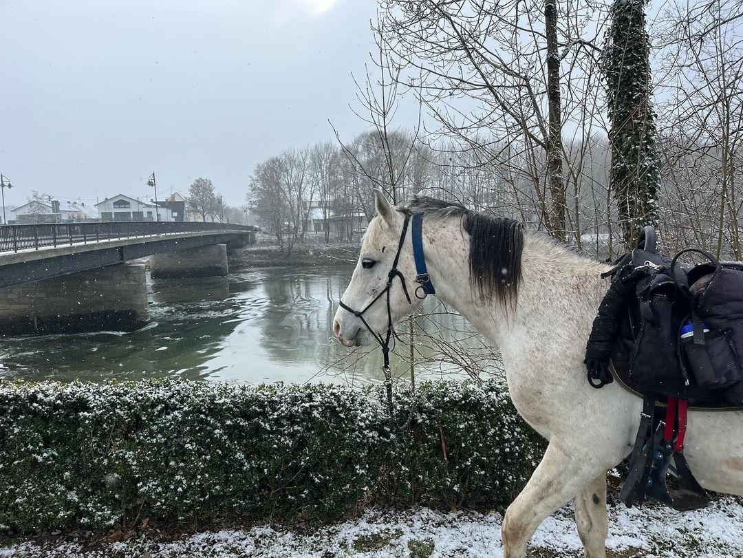 Chàng trai Trung Quốc bỗng dưng quyết định cưỡi ngựa từ châu Âu sang châu Á - Ảnh 3. Chàng trai Trung Quốc bỗng dưng quyết định cưỡi ngựa từ châu Âu sang châu Á - Ảnh 3.