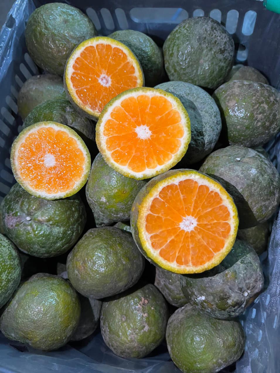 Hình ảnh ly nước cam, quả cam vắt nước - PNG