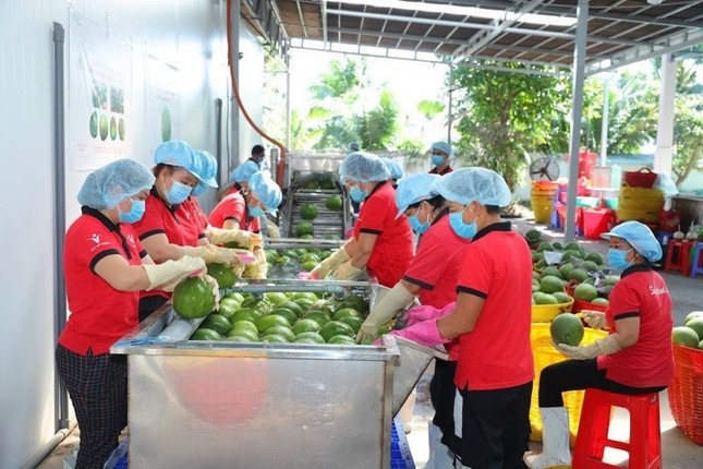Bộ trưởng Nông nghiệp muốn tăng giao thương với Trung Quốc gấp 10, gấp 100 lần - Ảnh 2. Bộ trưởng Nông nghiệp muốn tăng giao thương với Trung Quốc gấp 10, gấp 100 lần - Ảnh 2.