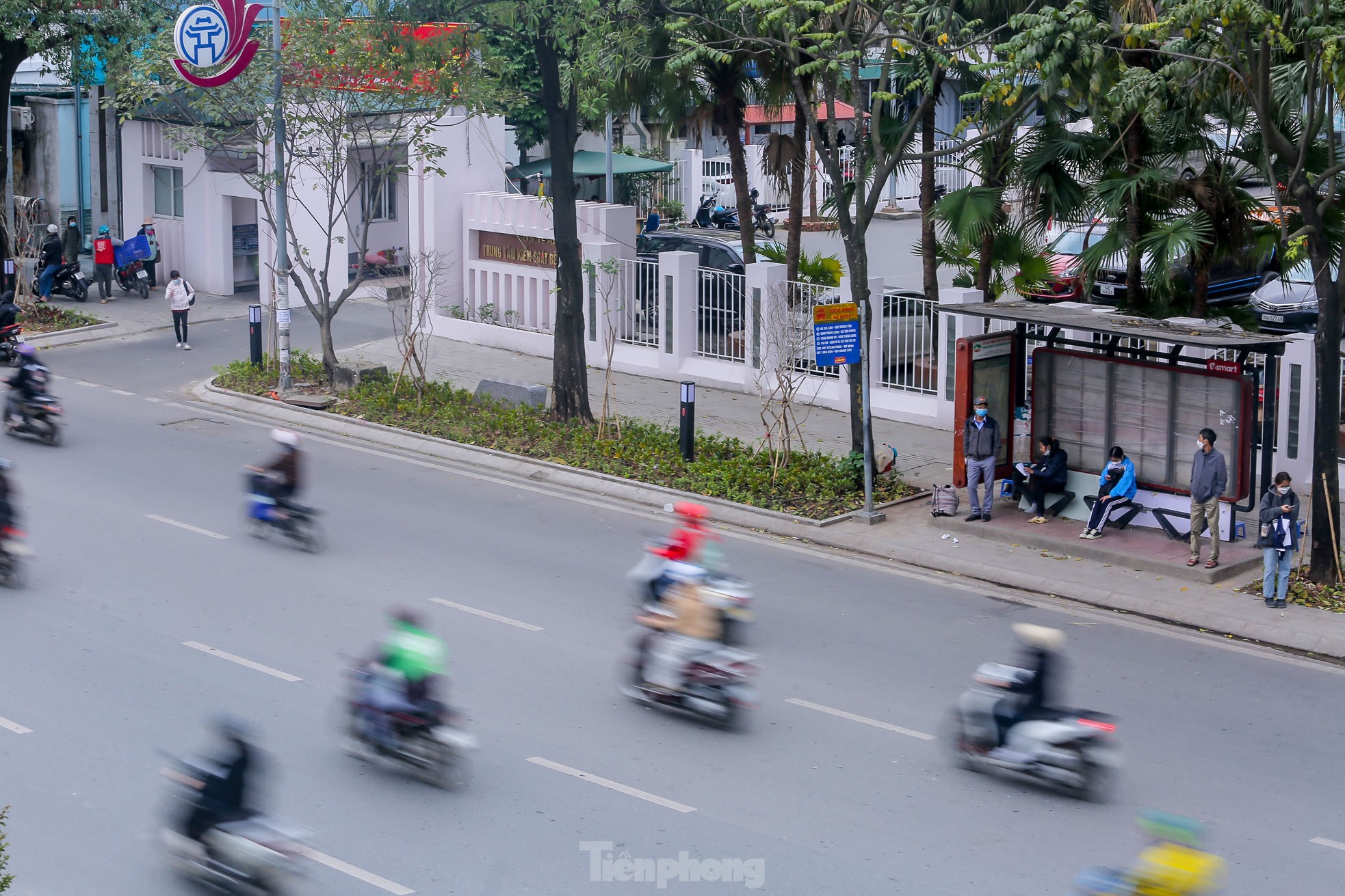 Cận cảnh hàng ghế đá dưới cây hoa sữa cổ thụ trên đường đẹp nhất Hà Nội - Ảnh 14.