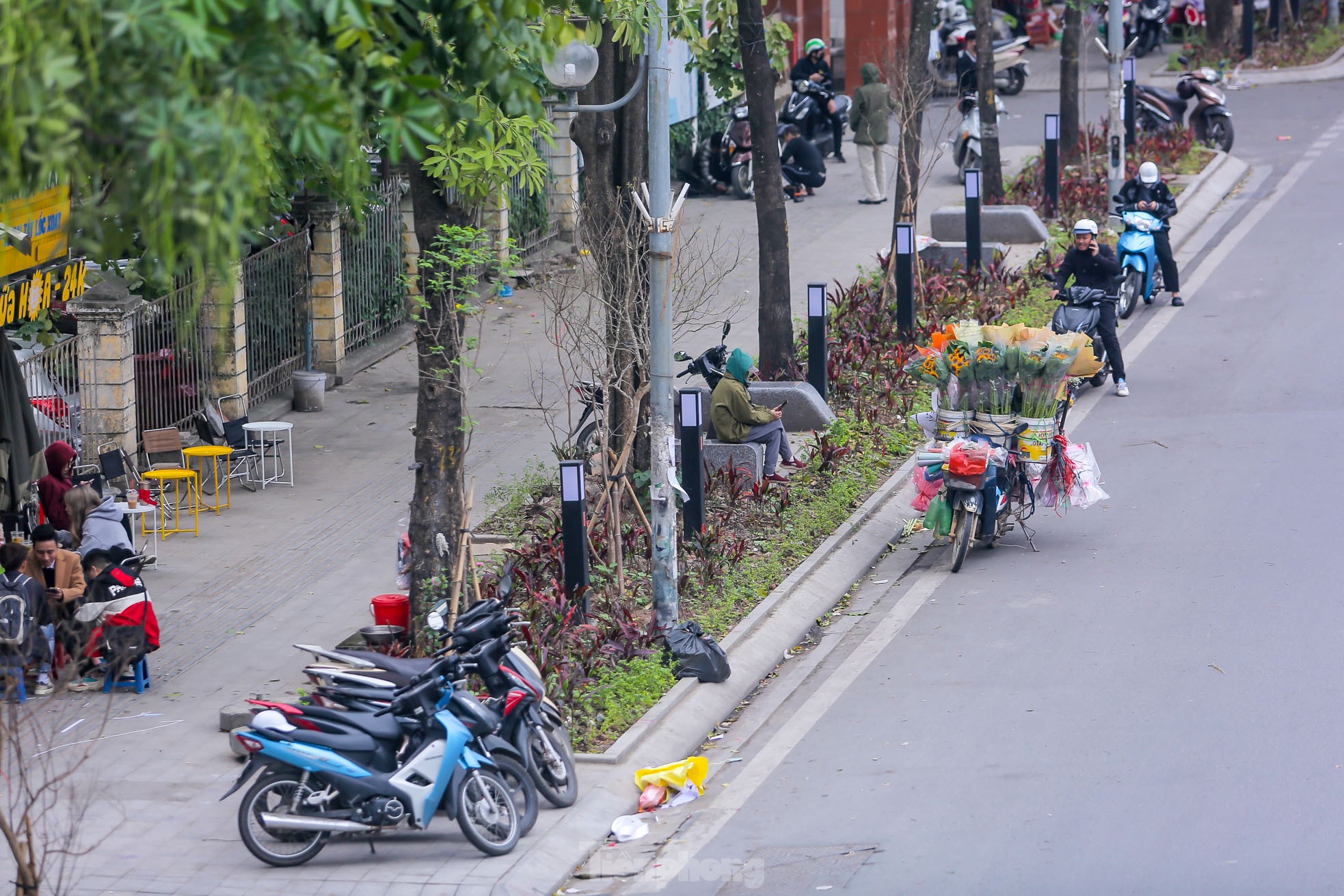 Cận cảnh hàng ghế đá dưới cây hoa sữa cổ thụ trên đường đẹp nhất Hà Nội - Ảnh 3.