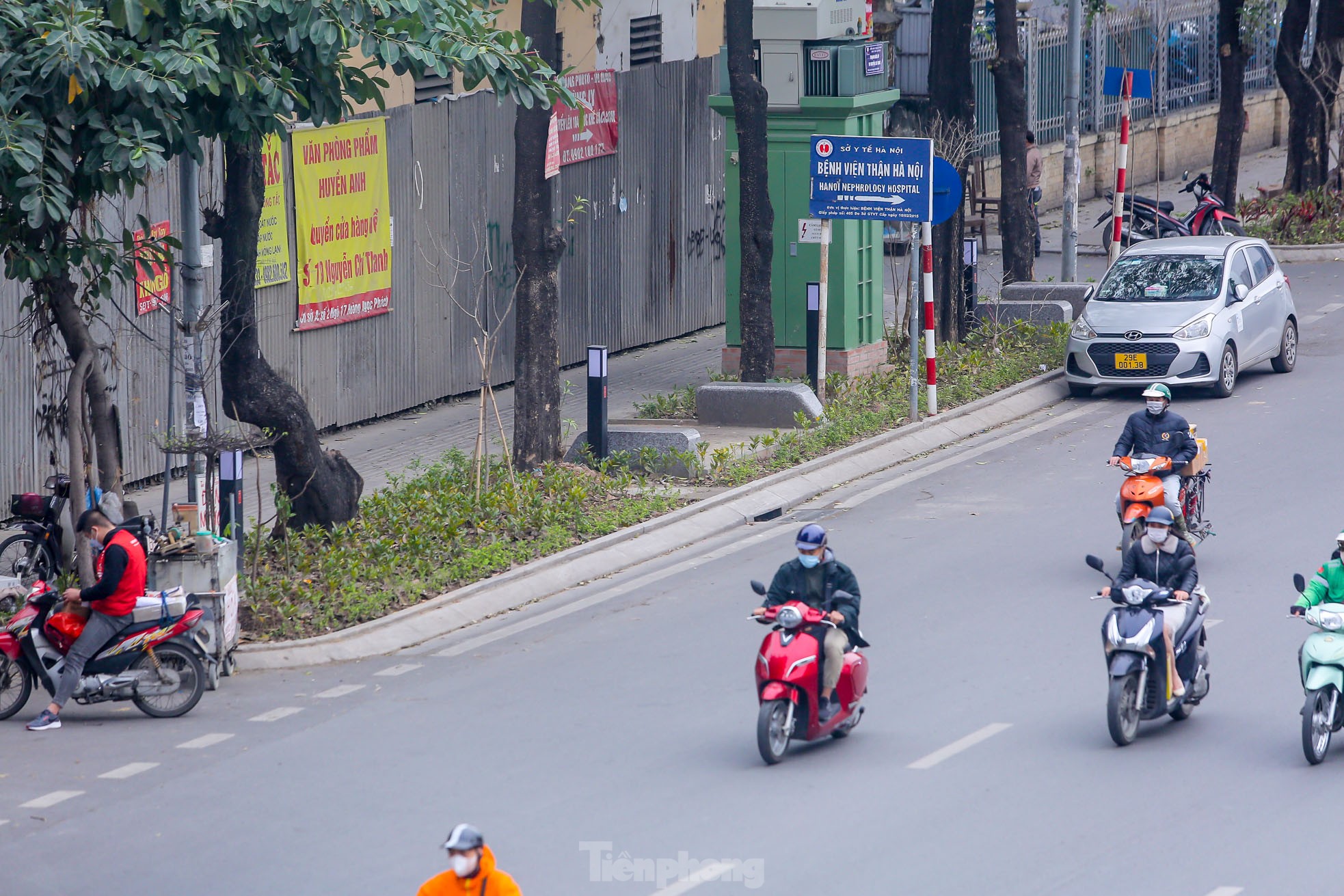 Cận cảnh hàng ghế đá dưới cây hoa sữa cổ thụ trên đường đẹp nhất Hà Nội - Ảnh 2.