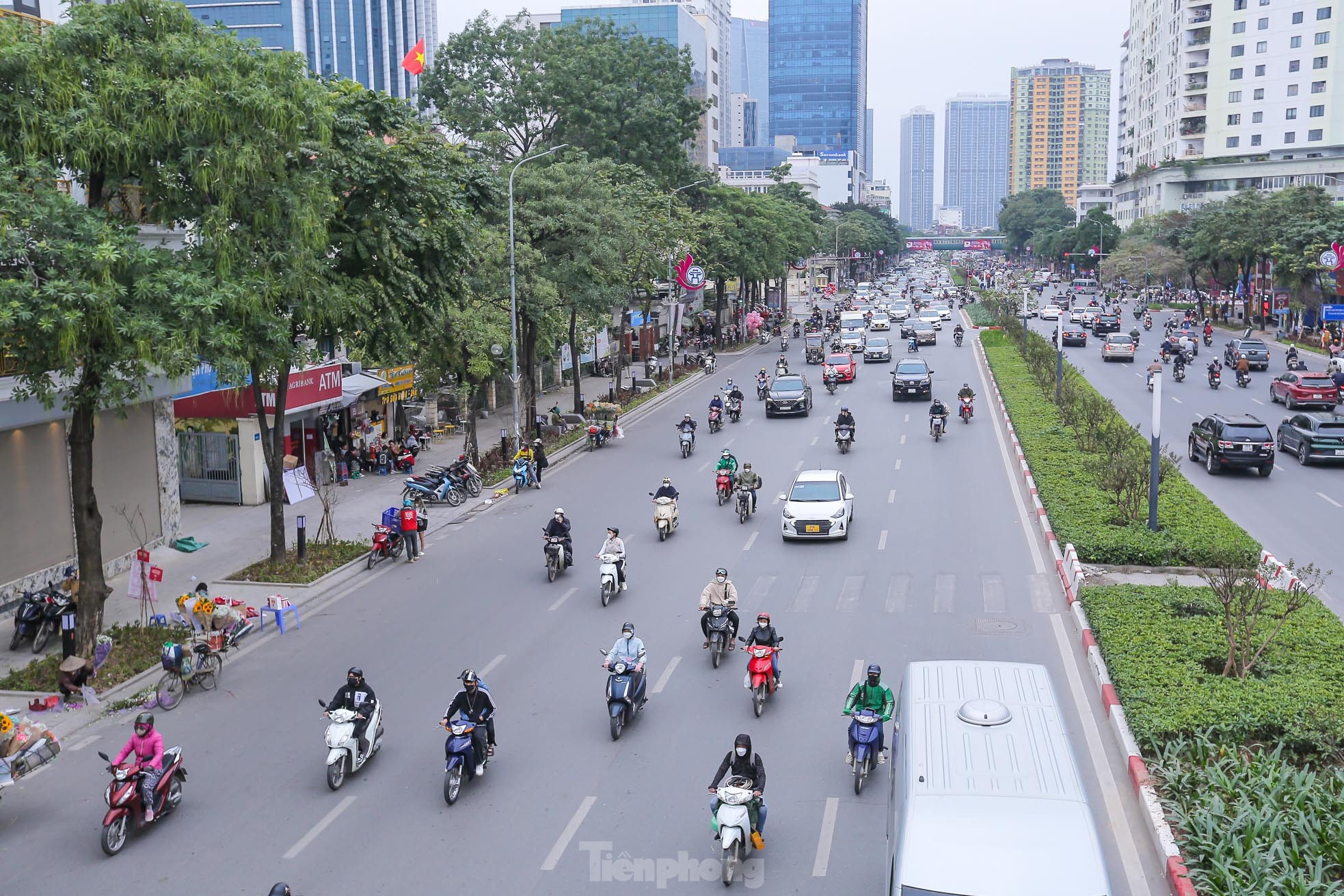 Cận cảnh hàng ghế đá dưới cây hoa sữa cổ thụ trên đường đẹp nhất Hà Nội - Ảnh 1.