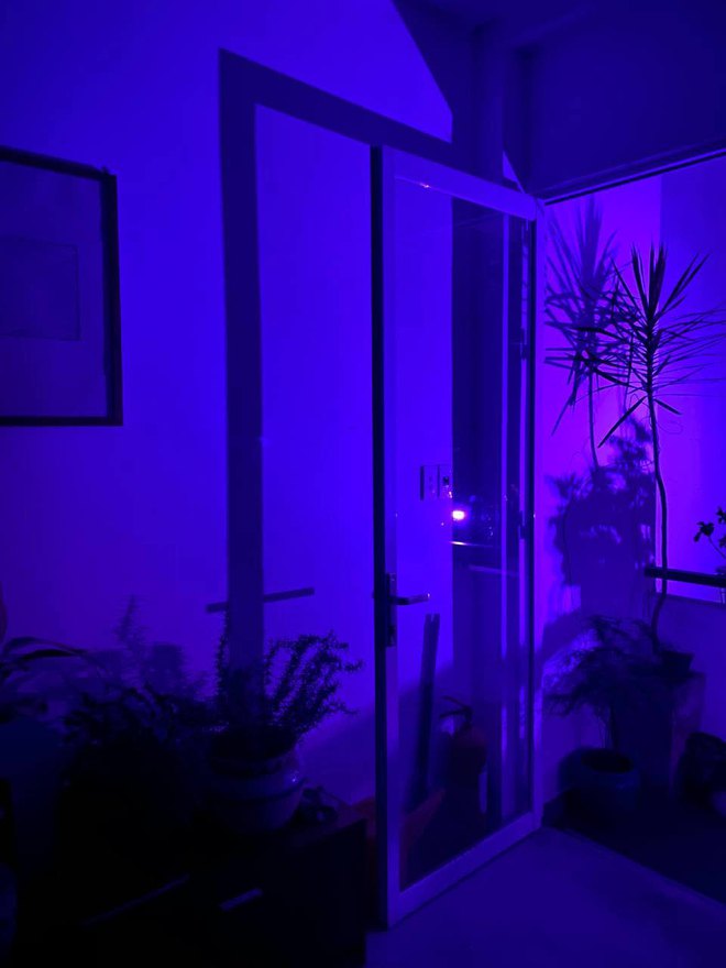  Bị sa thải nhưng vẫn chi 130 triệu cải tạo nhà thuê, tại sao vậy? - Ảnh 9.