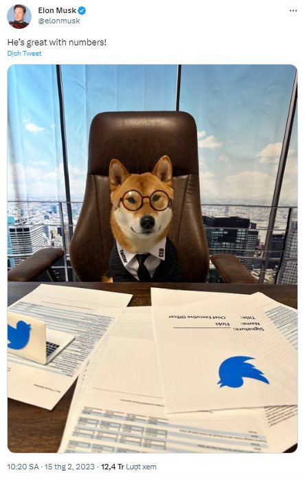 Tin được không: Elon Musk ‘bổ nhiệm’ chó Shiba Inu làm CEO Twitter, hàng loạt memecoin ‘xanh rực rỡ’ - Ảnh 1.