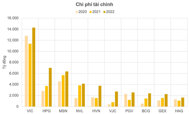 Không phải lãi vay, nỗi đau của Hòa Phát - Vingroup - Vietnam Airlines - Vietjet, “thủ phạm” khiến 19 DN lớn gánh thêm 17.000 tỷ chi phí tài chính là gì? - Ảnh 3.