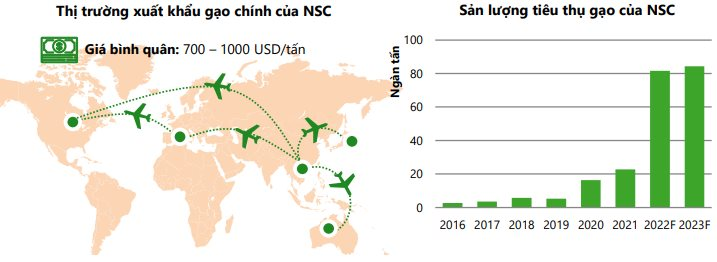 Chi phí đầu vào hạ nhiệt, một nhóm ngành sẽ được hưởng lợi từ xu hướng giá tăng trong năm 2023 - Ảnh 3. Chi phí đầu vào hạ nhiệt, một nhóm ngành sẽ được hưởng lợi từ xu hướng giá tăng trong năm 2023 - Ảnh 3.