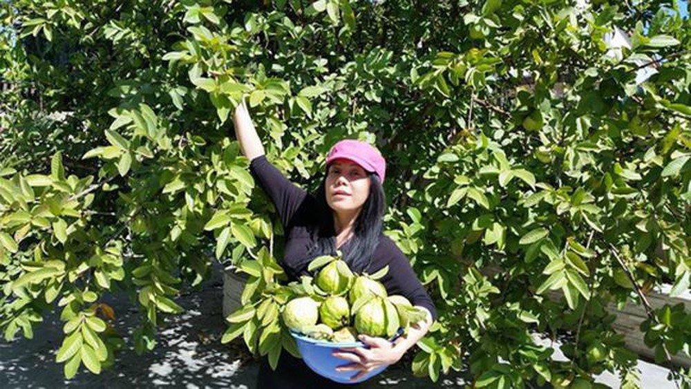  Choáng ngợp trước cơ ngơi khủng của Việt Hương khi quyết định về Việt Nam sinh sống: Biệt thự bề thế, sang như khách sạn 5 sao  - Ảnh 12.